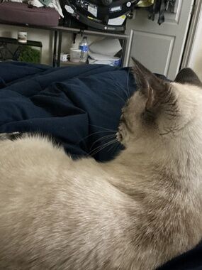 Meet your Posher, Stacy